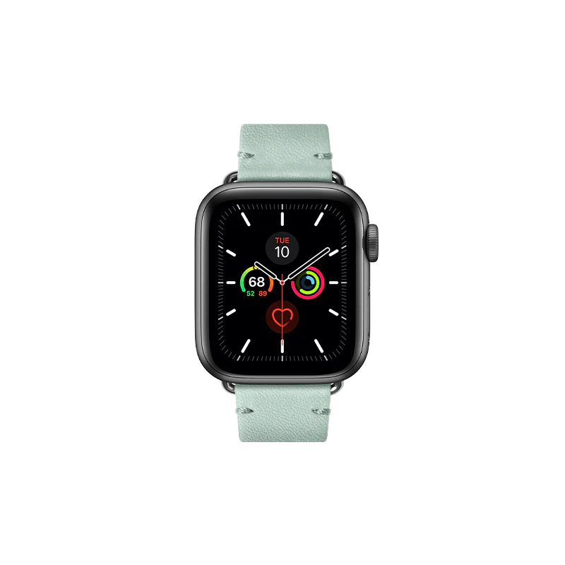 Classic Strap for Apple Watch (38 / 40 / 41mm)